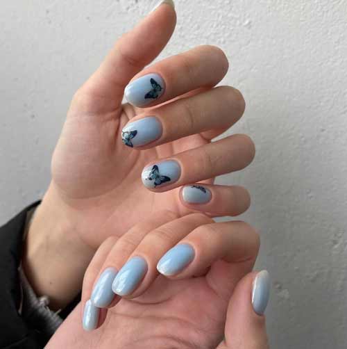 Papillons noirs sur les ongles courts