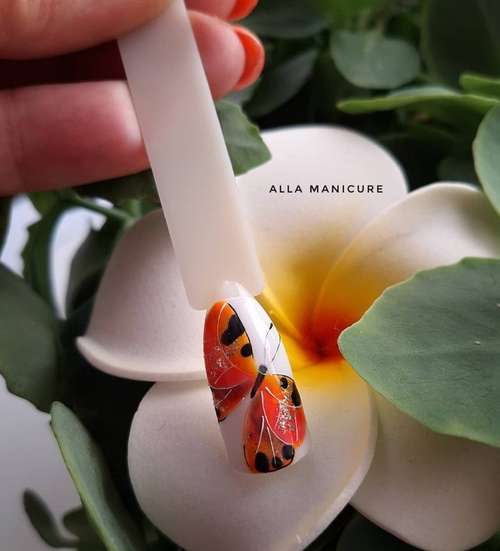 Manucure papillon 2021: nouvelles photos de design