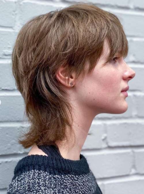 Photo coupe de cheveux mulet