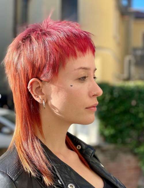 Maillet coupe de cheveux 2022: nouvelles photos pour différentes longueurs de cheveux