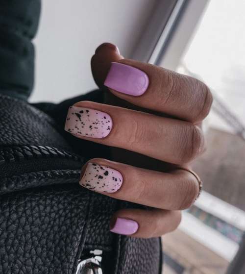 Violet à pois noirs