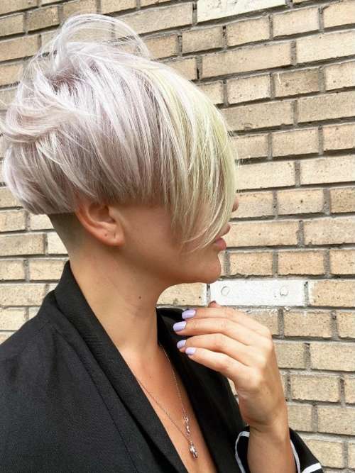 longue frange pixie bob