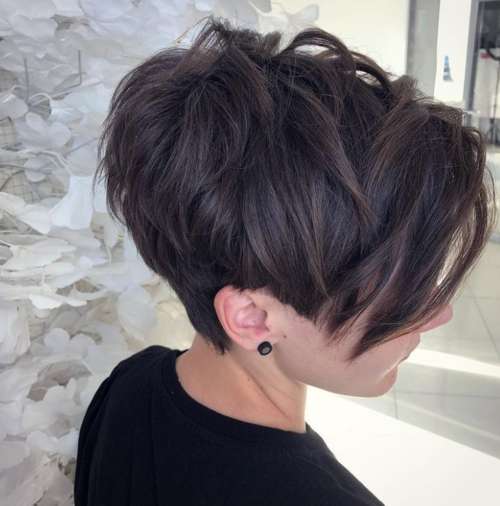 Coupe de cheveux Pixie-bob: photos de coupes de cheveux de tous les côtés