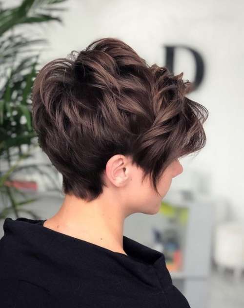 Coupe de cheveux Pixie-bob: photos de coupes de cheveux de tous les côtés