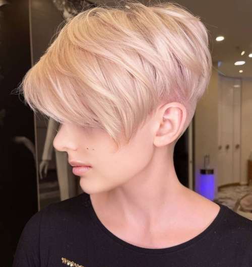 Coupe de cheveux Pixie-bob: photos de coupes de cheveux de tous les côtés