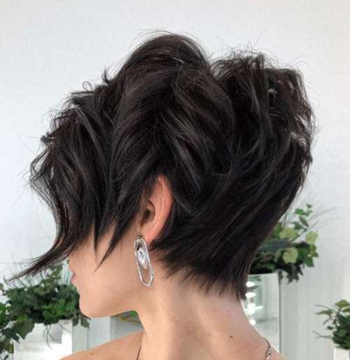 Coupe de cheveux Pixie-bob: photos de coupes de cheveux de tous les côtés