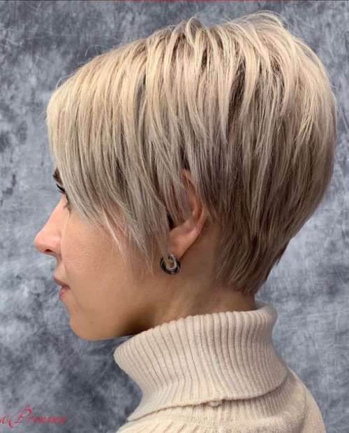 Coupe de cheveux Pixie-bob: photos de coupes de cheveux de tous les côtés