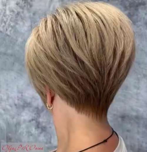 Coupe de cheveux Pixie-bob: photos de coupes de cheveux de tous les côtés