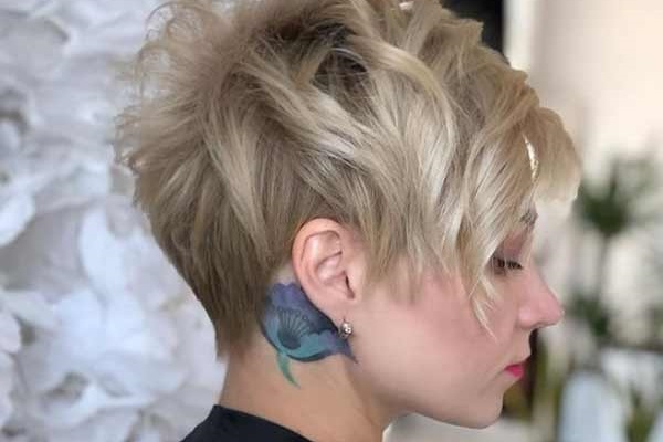 Photo coupe de cheveux Pixie bob