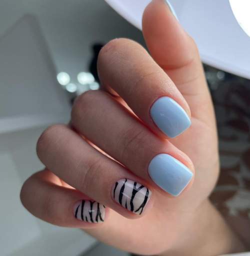 Imprimé zèbre sur les ongles : 100 photos, de belles nouveautés