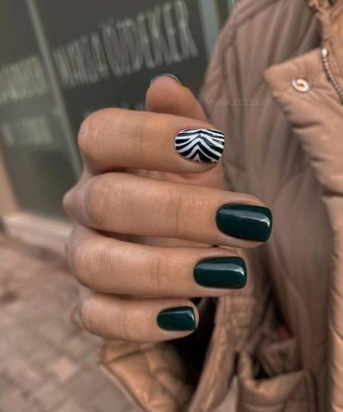 Zèbre sur les ongles courts