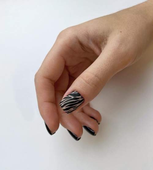 ongles de zèbre noir