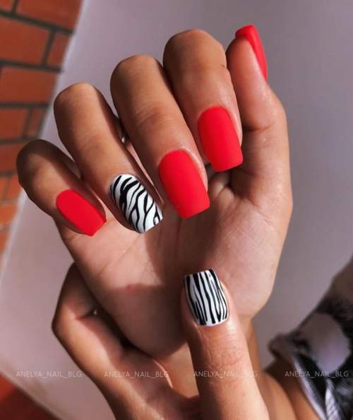 Zèbre de manucure rouge