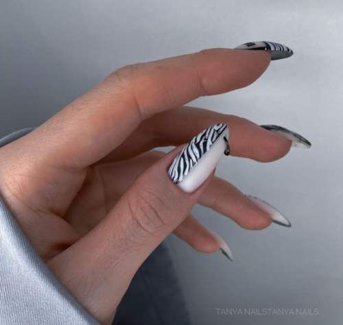Imprimé zèbre sur les ongles : 100 photos, de belles nouveautés