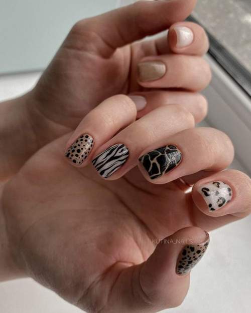 Imprimé zèbre sur les ongles : 100 photos, de belles nouveautés