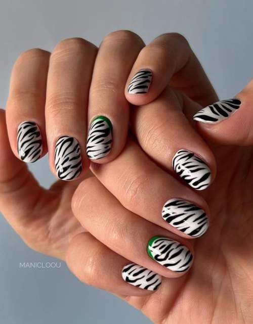 Ongles de zèbre noir et blanc