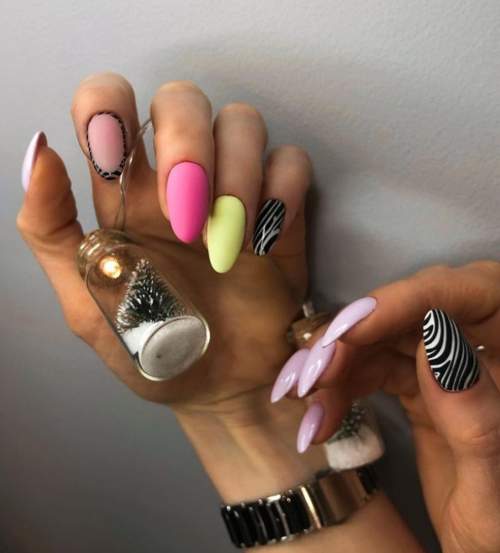 Imprimé zèbre sur les ongles : 100 photos, de belles nouveautés