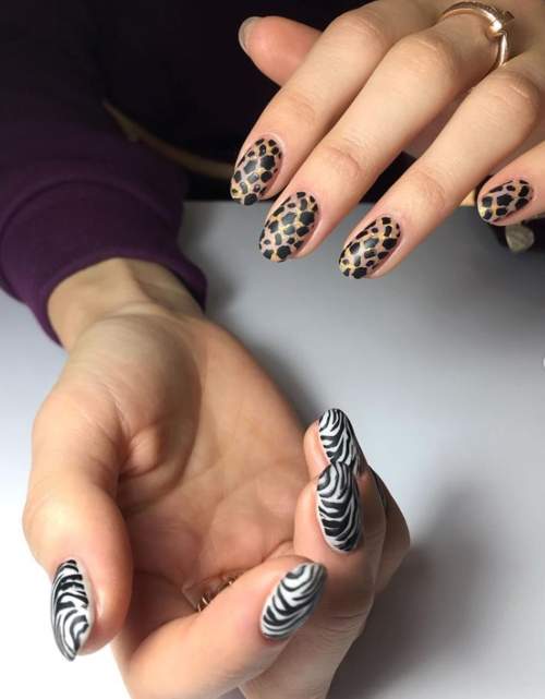 Imprimé zèbre sur les ongles : 100 photos, de belles nouveautés