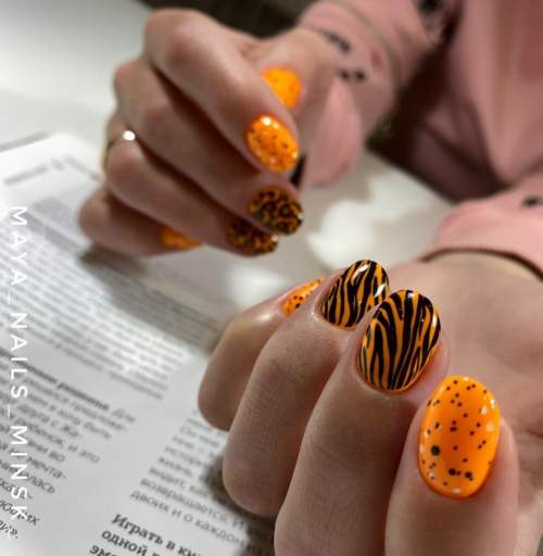 Imprimé zèbre sur les ongles : 100 photos, de belles nouveautés