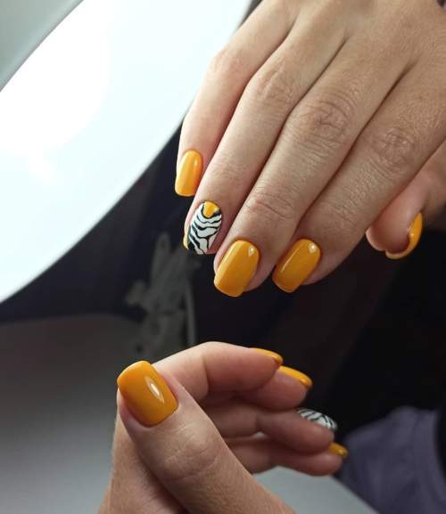 Imprimé zèbre sur les ongles : 100 photos, de belles nouveautés