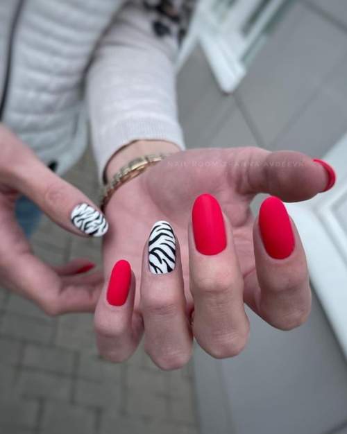 Imprimé zèbre sur les ongles : 100 photos, de belles nouveautés