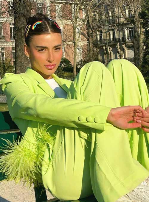 Pinces à cheveux mode 2023