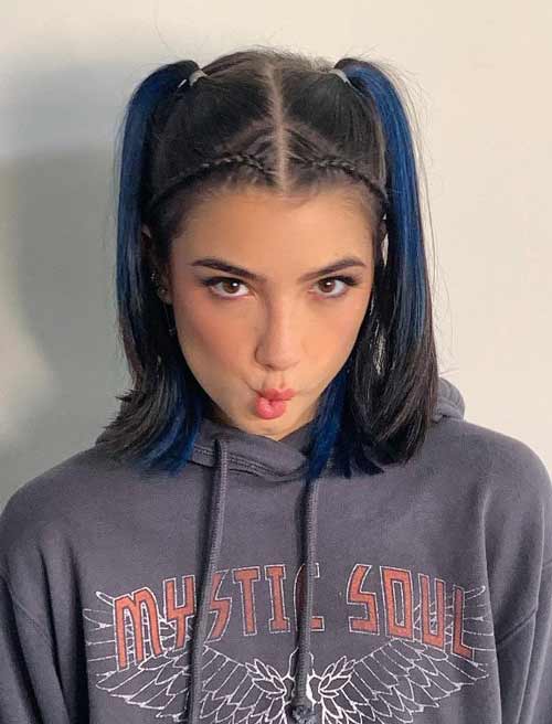 Queues de cheval de coiffure avec des nattes