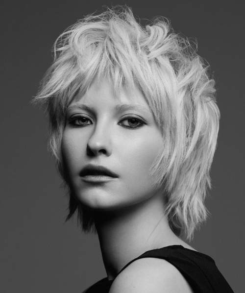 coupe de cheveux de loup