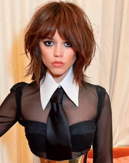 Coupe de cheveux courte louve