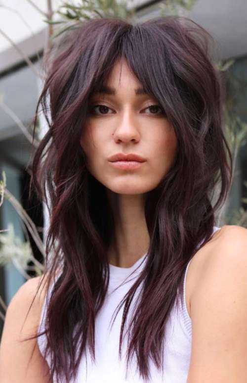 coupe de cheveux de loup