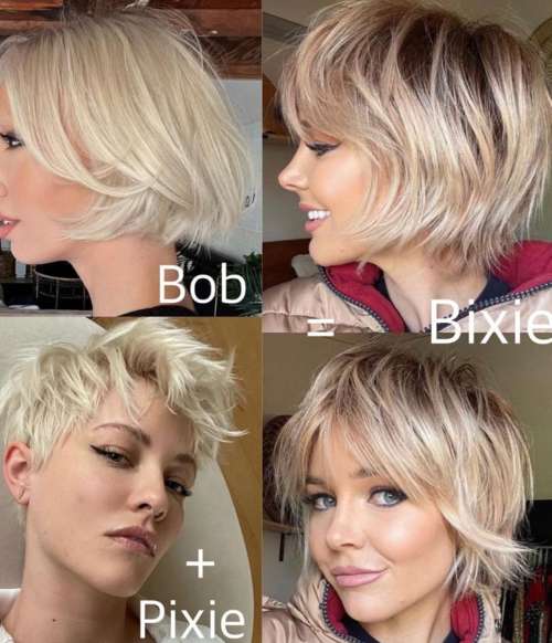 Coupes de cheveux courtes volumineuses