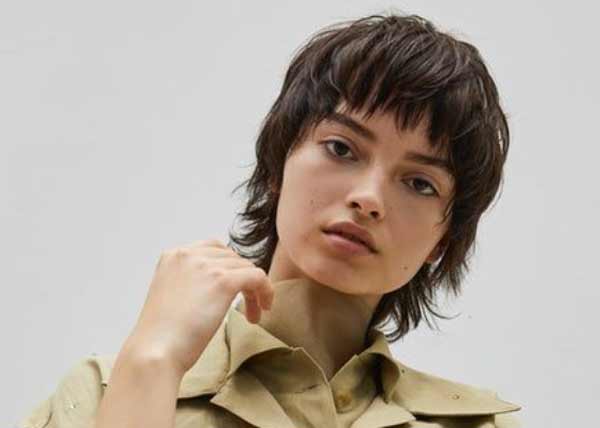 longue coupe de cheveux de lutin