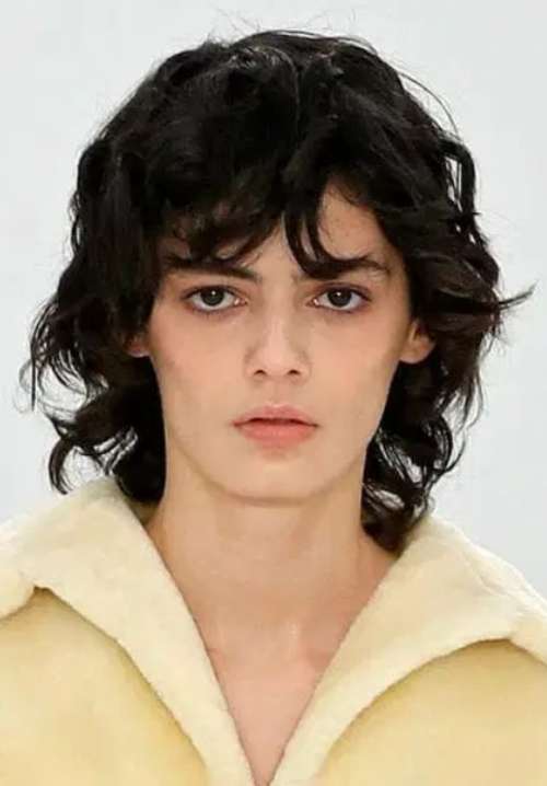 coupe de cheveux de loup