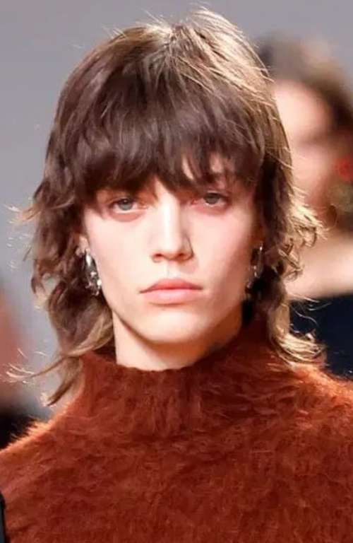 Coupe de cheveux de loup à la mode